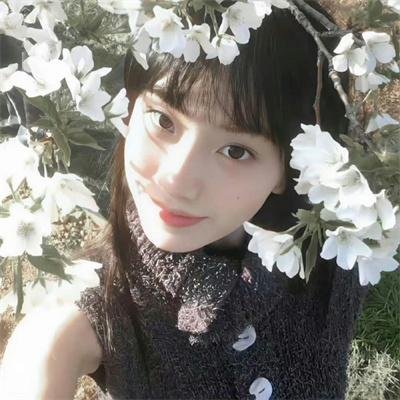 井盖儿