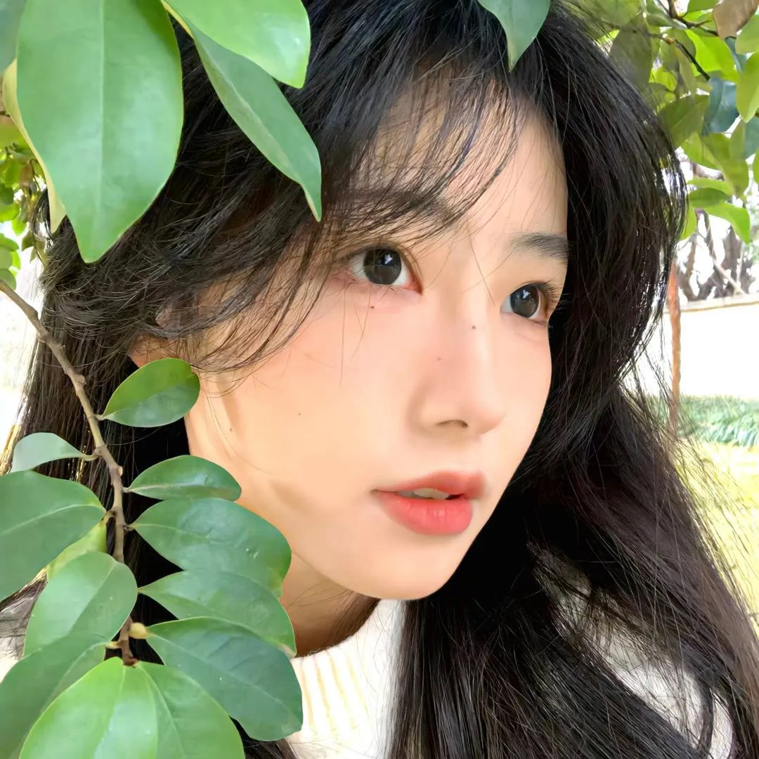 热爱十七